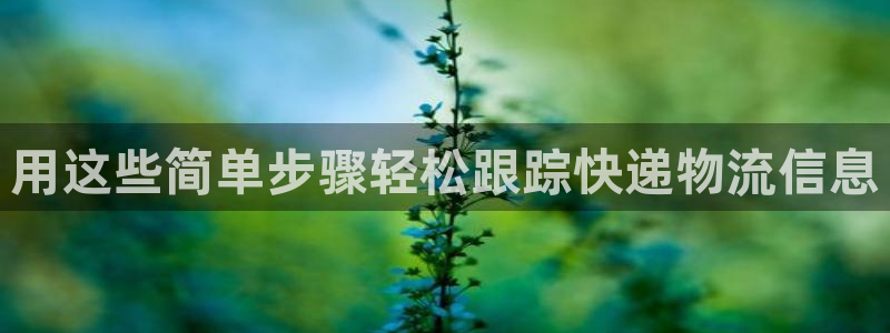 28圈充值不到账怎么回事：用这些简单