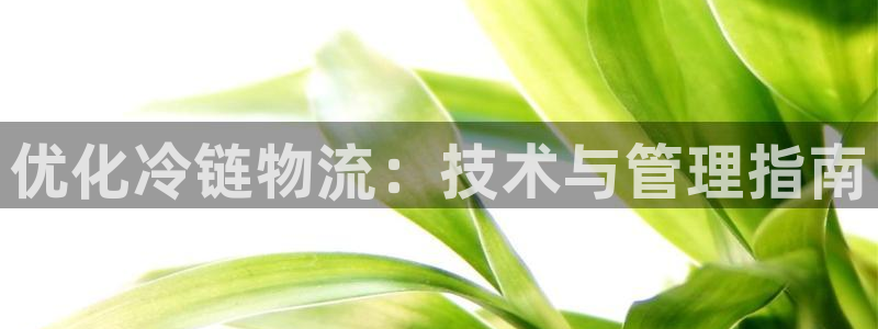 28圈账号注册：优化冷链物流：技术与