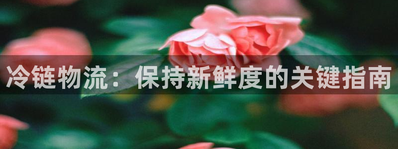 28圈如何注销账号：冷链物流：保持新