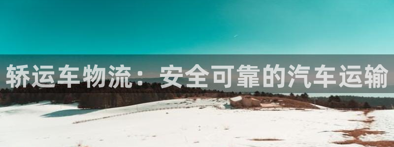 28圈账号注册：轿运车物流：安全可靠