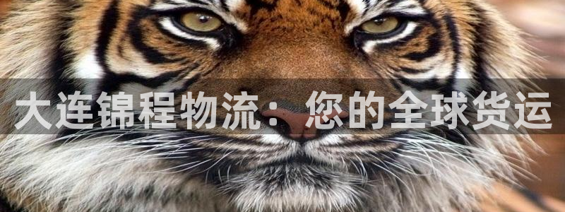 28圈注册流程：大连锦程物流：您的全