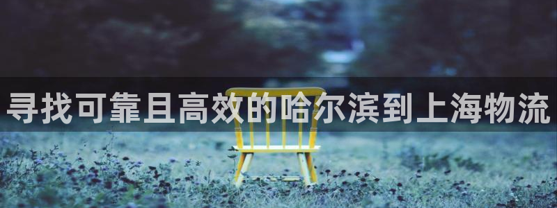 28圈加拿大pc预测