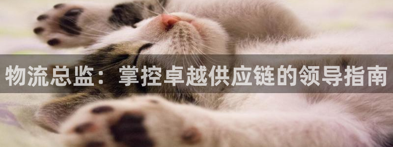 28圈注册网站链接