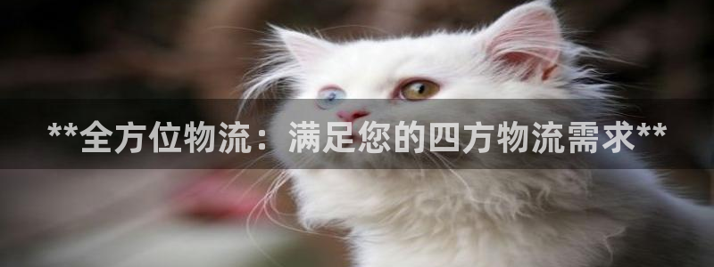 28圈是啥：**全方位物流：满足您的