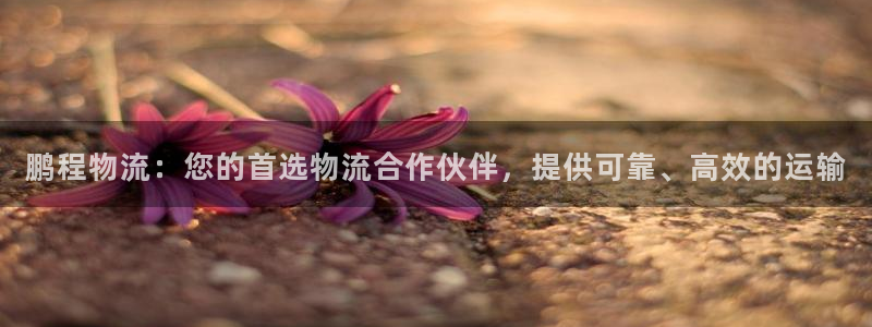 28圈注册用户名是什么