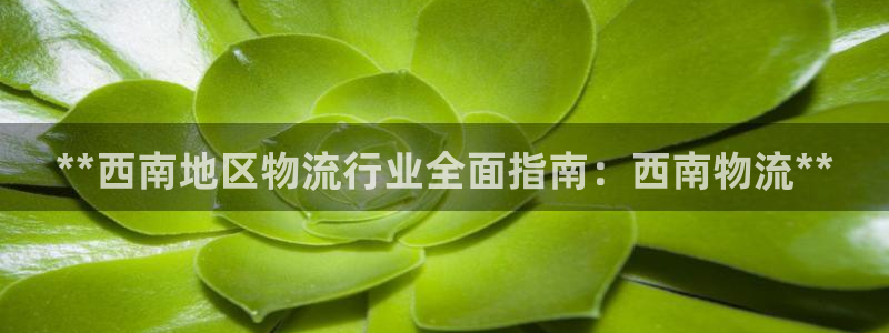 28圈加拿大最新版