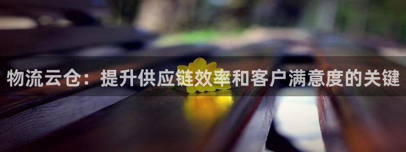 28圈在线预测官网：物流云仓：提升供
