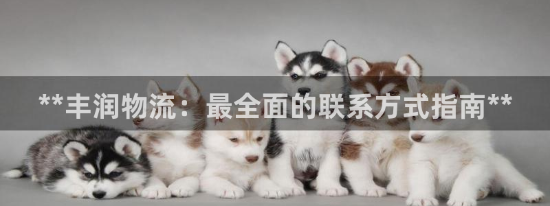 28圈注册：**丰润物流：最全面的联