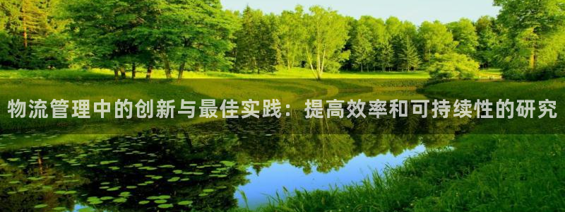 28圈充值不到账怎么办：物流管理中的
