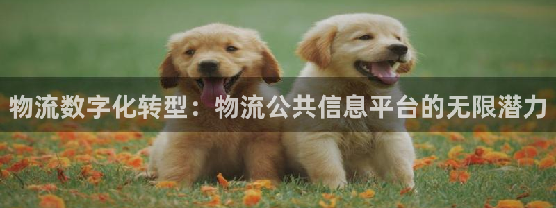 28圈怎么注册账号