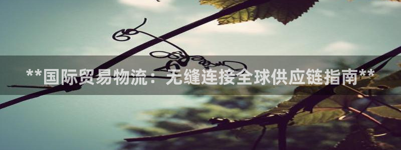 28圈官方官网版