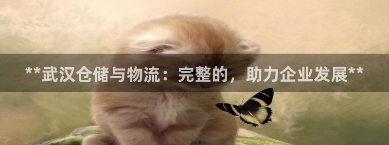 南宫28圈官网版
