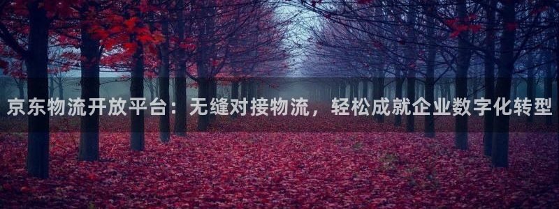 28圈提现不到账