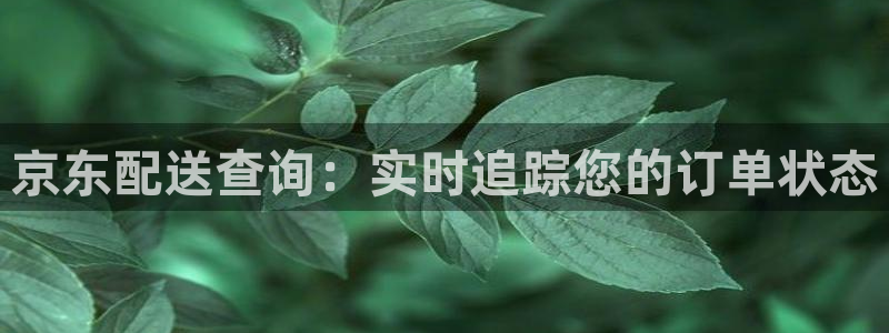 28圈机器人是什么软件：京东配送查询