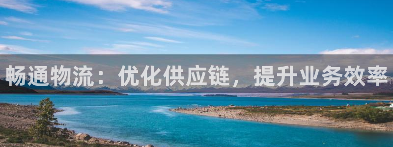28圈自行车图片