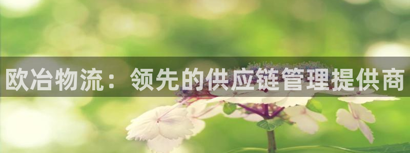 28圈软件堵什么反什么：欧冶物流：领