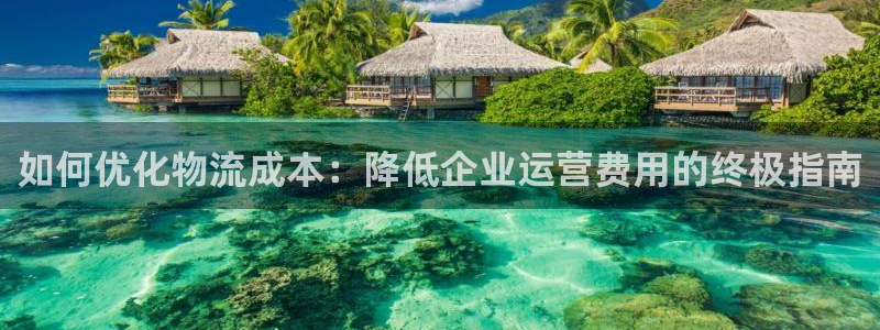 28圈注册网站多少：如何优化物流成本