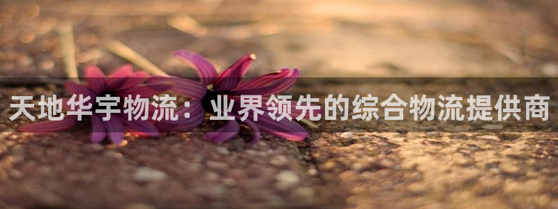 28圈黑钱