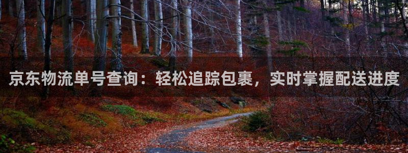 28圈黑吗：京东物流单号查询：轻松追