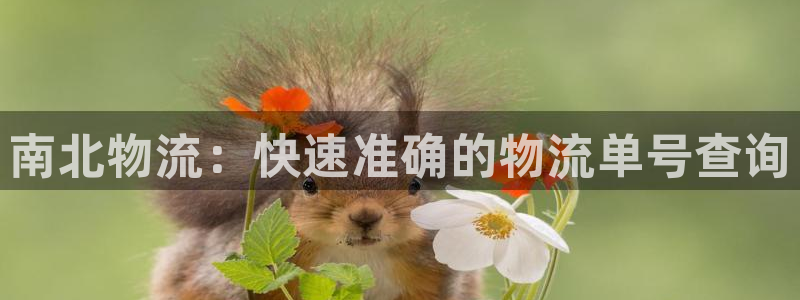 28圈游戏官网平台：南北物流：快速准