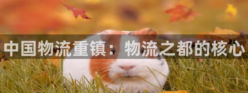 28圈注册问一问：中国物流重镇：物流