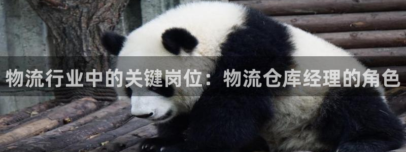 28圈p扣除