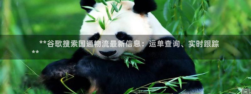 28圈加拿大模拟器：    **谷歌