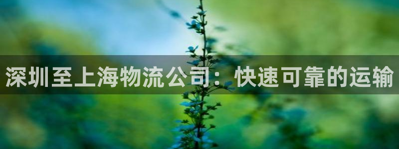 28圈取保