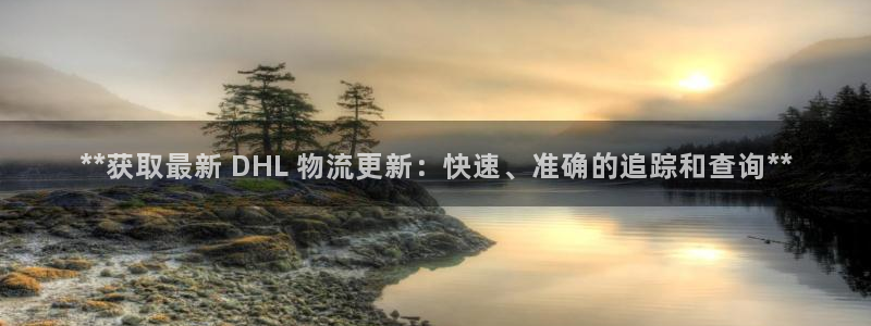 28圈加拿大真假怎么看