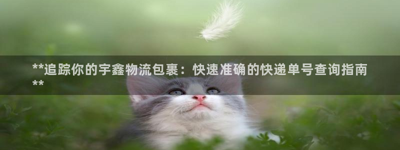 28圈注册网站APP：**追踪你的宇