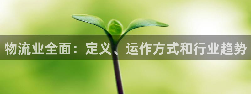 28圈登陆网