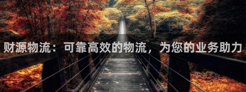 28圈是南宫旗下的吗：财源物流：可靠