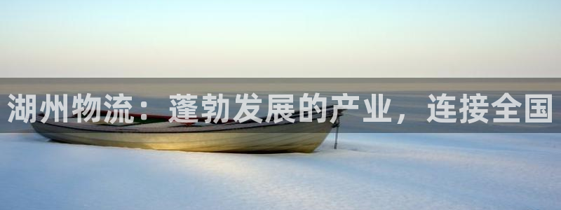 28圈预测加拿大师准