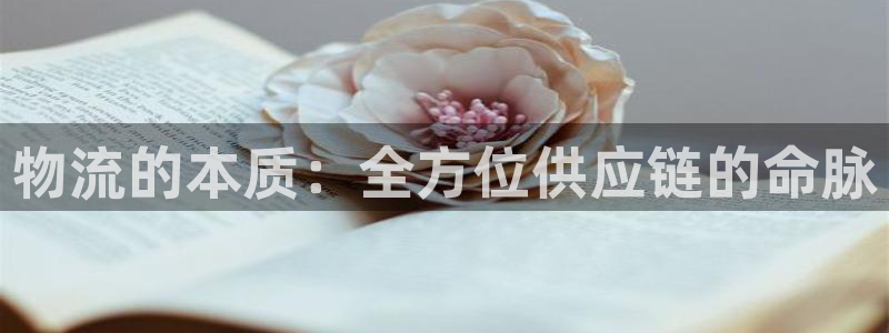 28圈充值为什么充不了：物流的本质：