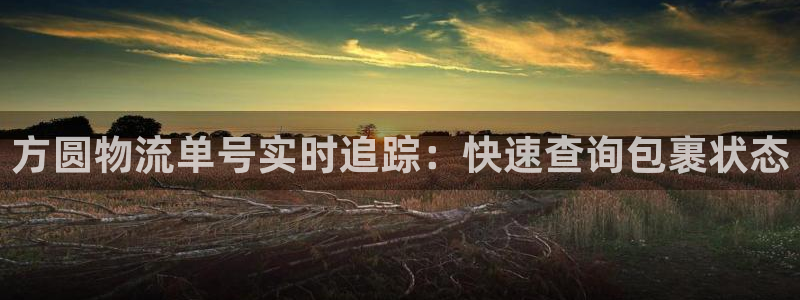 28圈官方版正版：方圆物流单号实时追