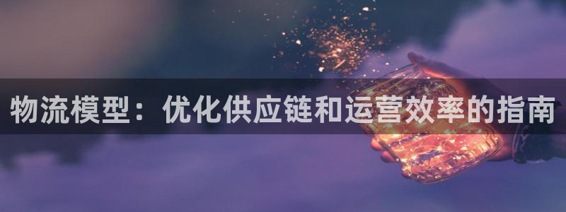 28圈注册网站加拿大：物流模型：优化
