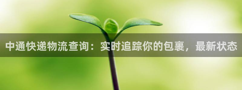 28圈官网开奖结果预测查询：中通快递