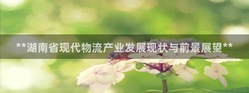 28圈.ccmpc正版：**湖南省现