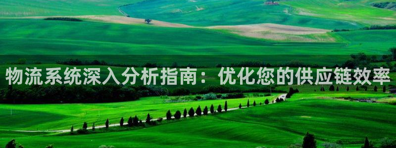 28圈分分压单双技巧：物流系统深入分