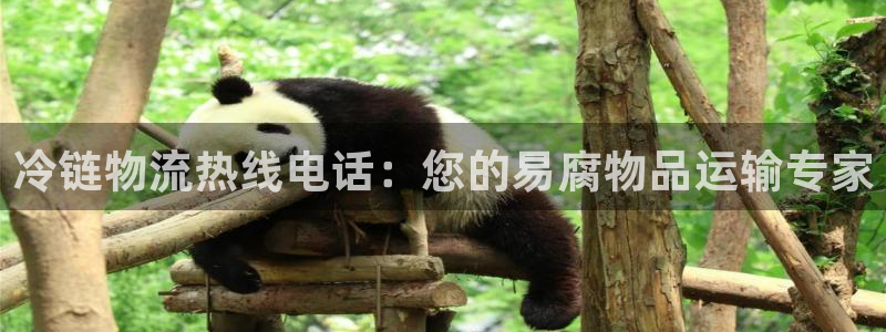 28圈.ccmpcios：冷链物流热