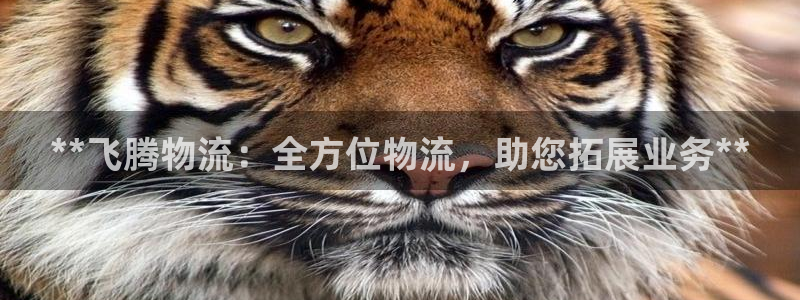28圈口戒指是多大