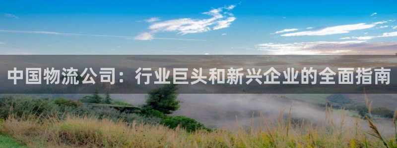 28圈登录不上咋回事：中国物流公司：