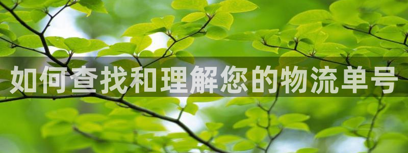 28圈头像