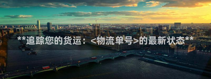 28圈注册链接入口：**追踪您的货运