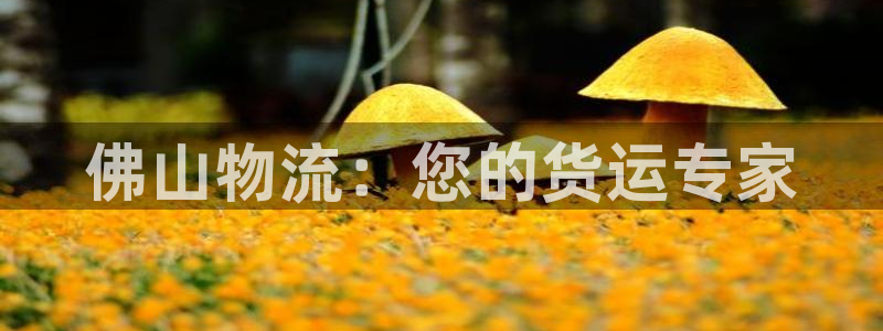 28圈免费充钱：佛山物流：您的货运专