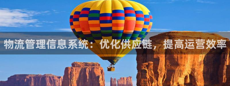 28圈注册链接：物流管理信息系统：优