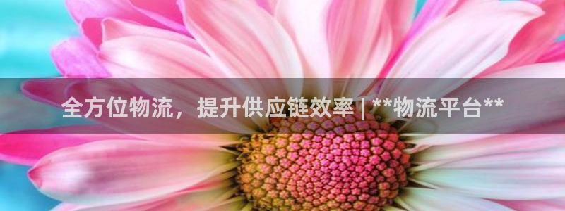 28圈注册官网：全方位物流，提升供应