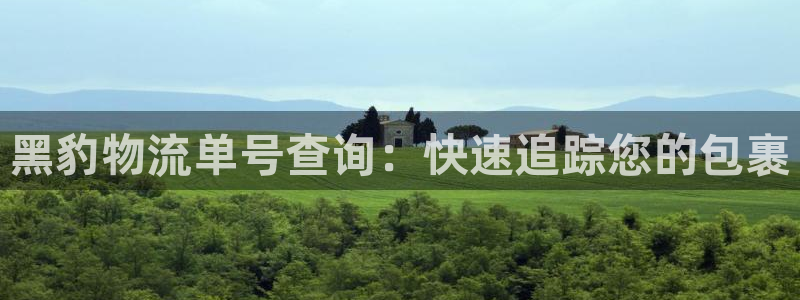 28圈app注册地址：黑豹物流单号查