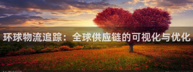 28圈注册教程：环球物流追踪：全球供