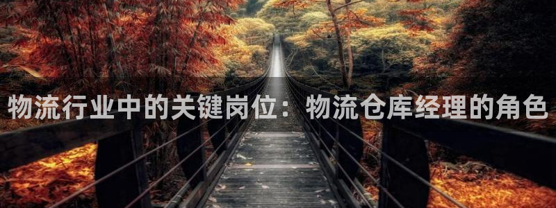 28圈是正规软件吗：物流行业中的关键